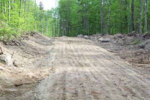 dirt road with trees in the background