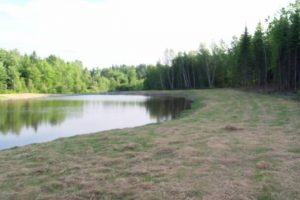 pond and dirt road with trees and sky in the background